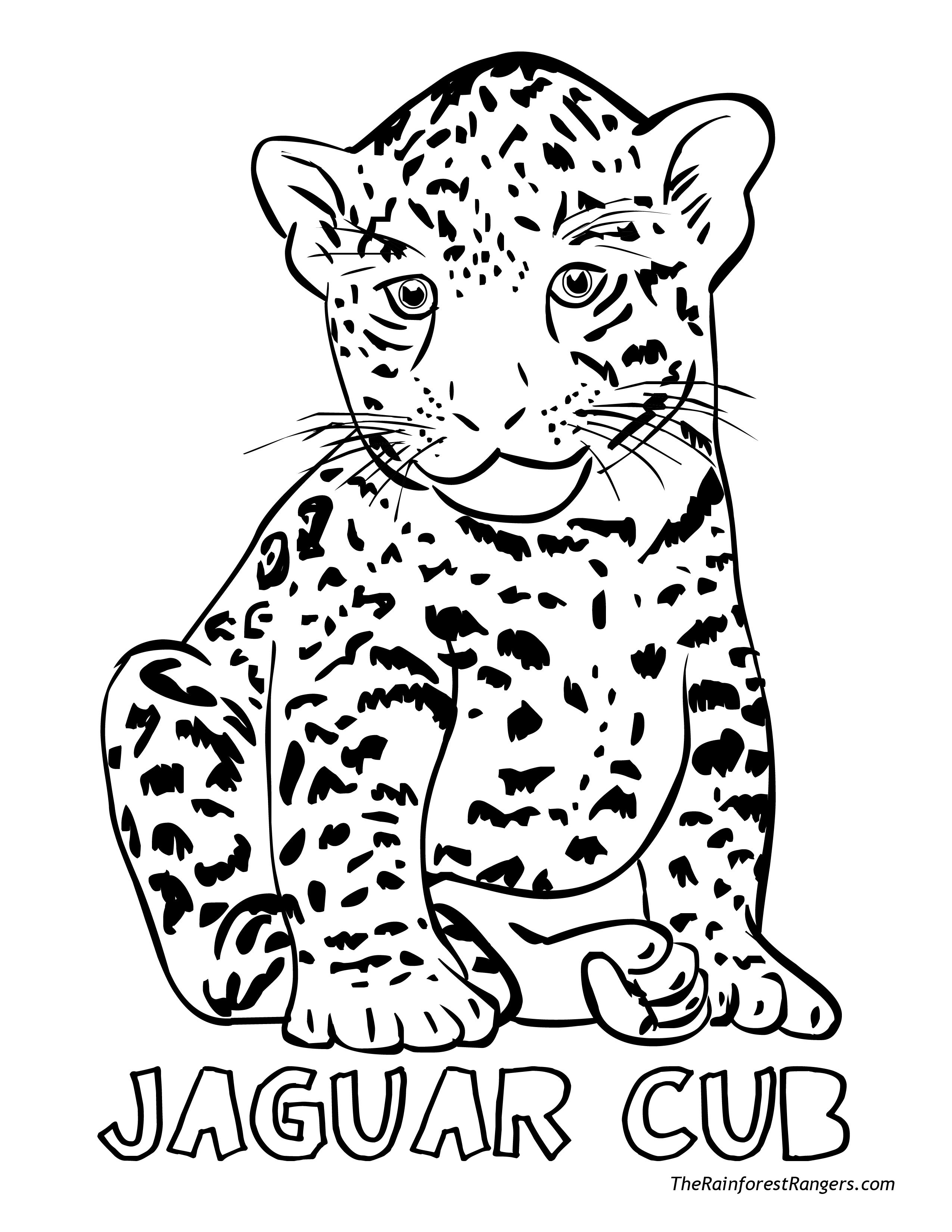 Animals In The Rainforest Coloring Pages Coloring Ideas Rainforest Coloringges To Print Awesome For Kids