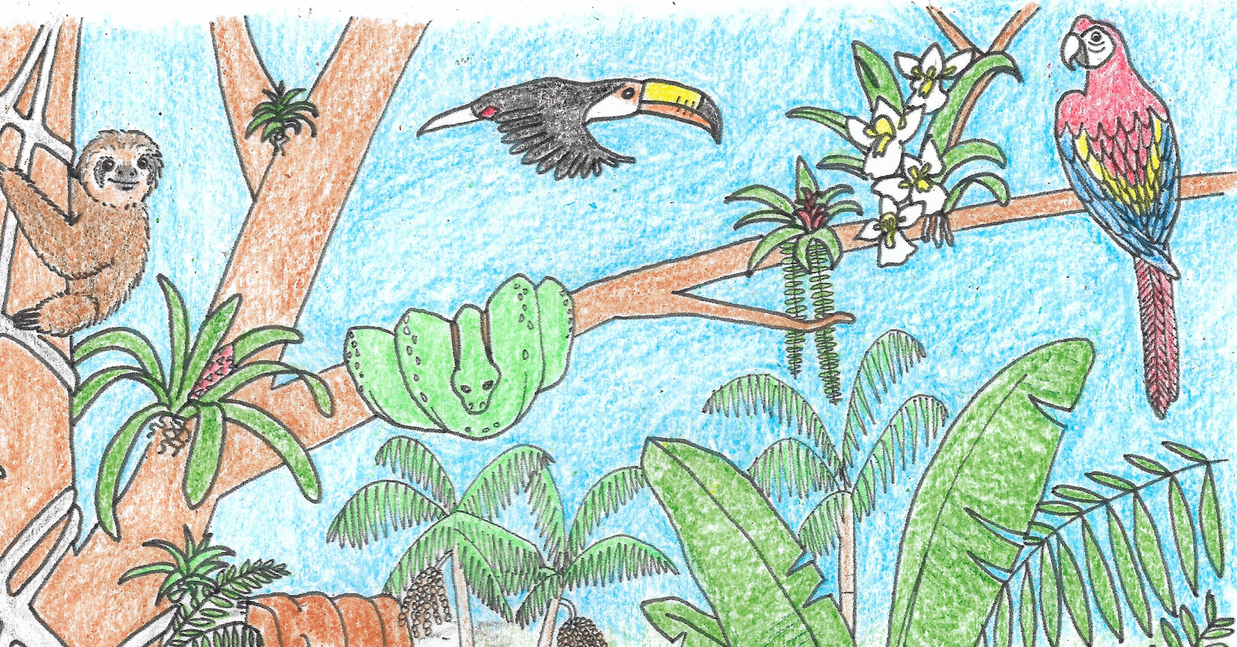 Animals In The Rainforest Coloring Pages Coloring Ideas Tropical Rainforest Coloring Pages For Kids