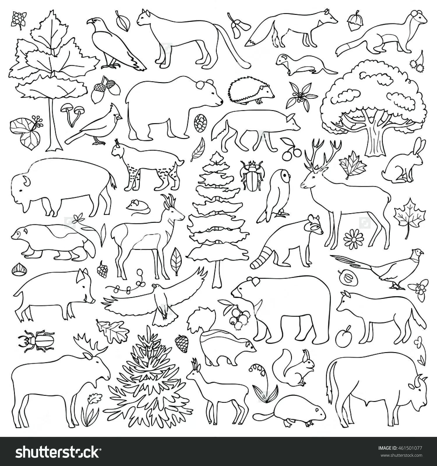 Animals In The Rainforest Coloring Pages Rainforest Tree Coloring Pages New Coloring Book World