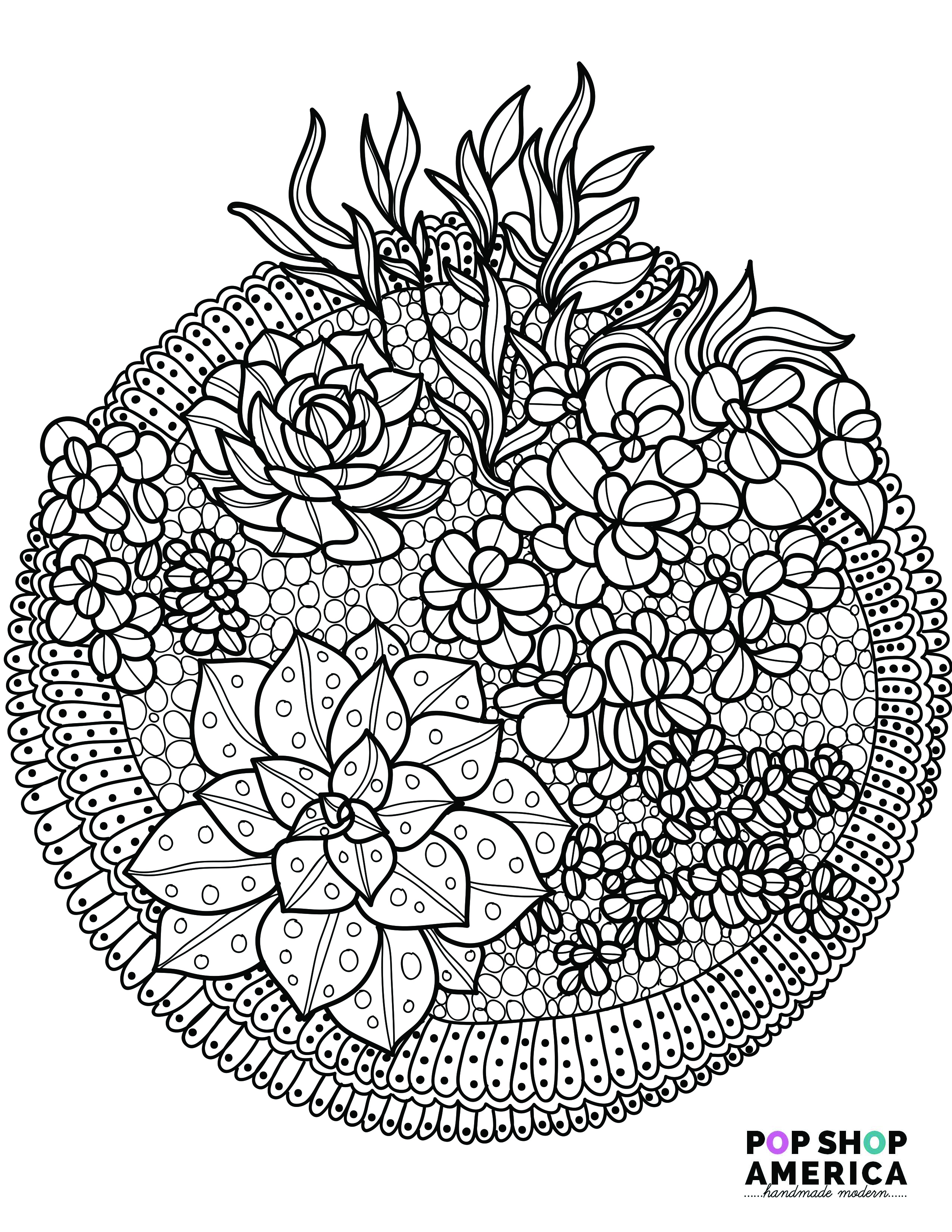 Adult Coloring Pages Free Adult Coloring Book Pages With Succulent Terrariums