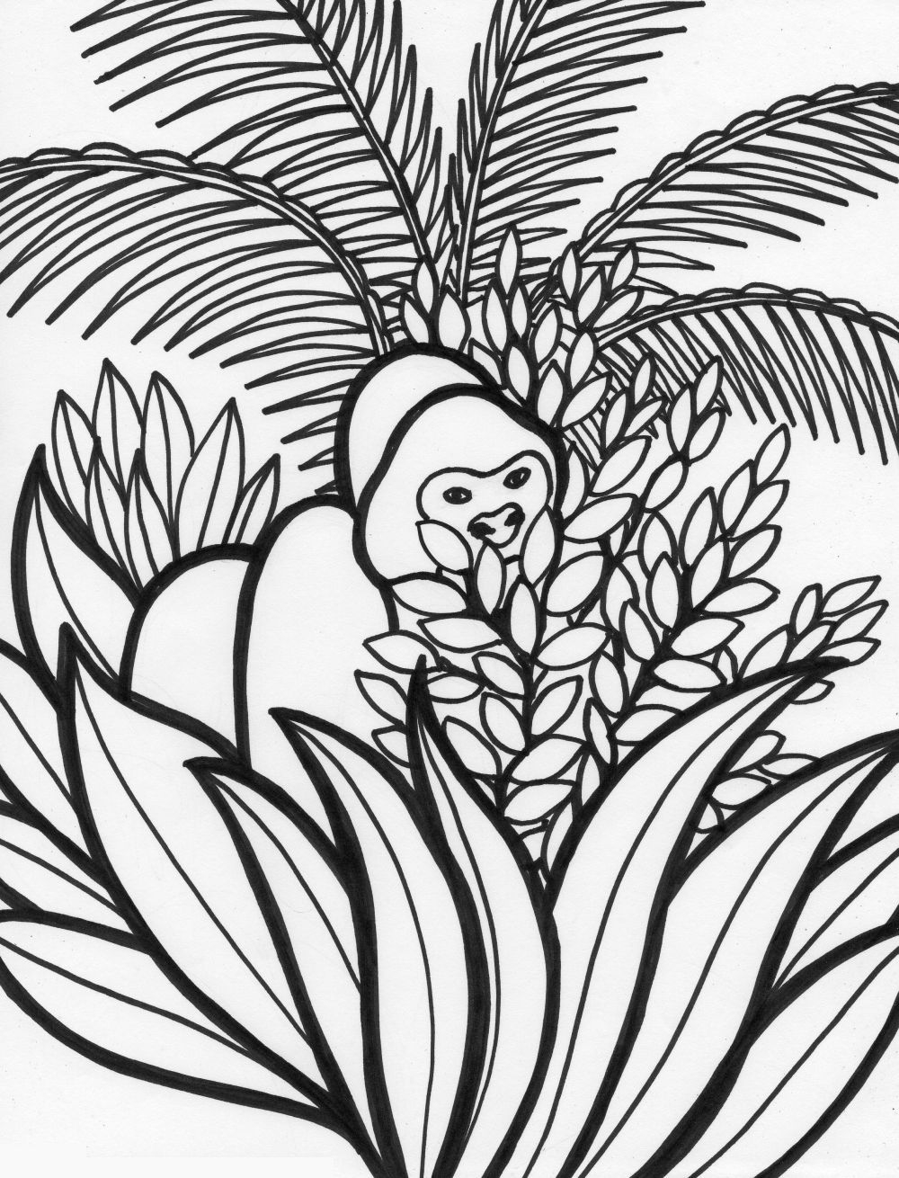 Animals In The Rainforest Coloring Pages 7 Pics Of Endangered Rainforest Animals Coloring Pages Tropical