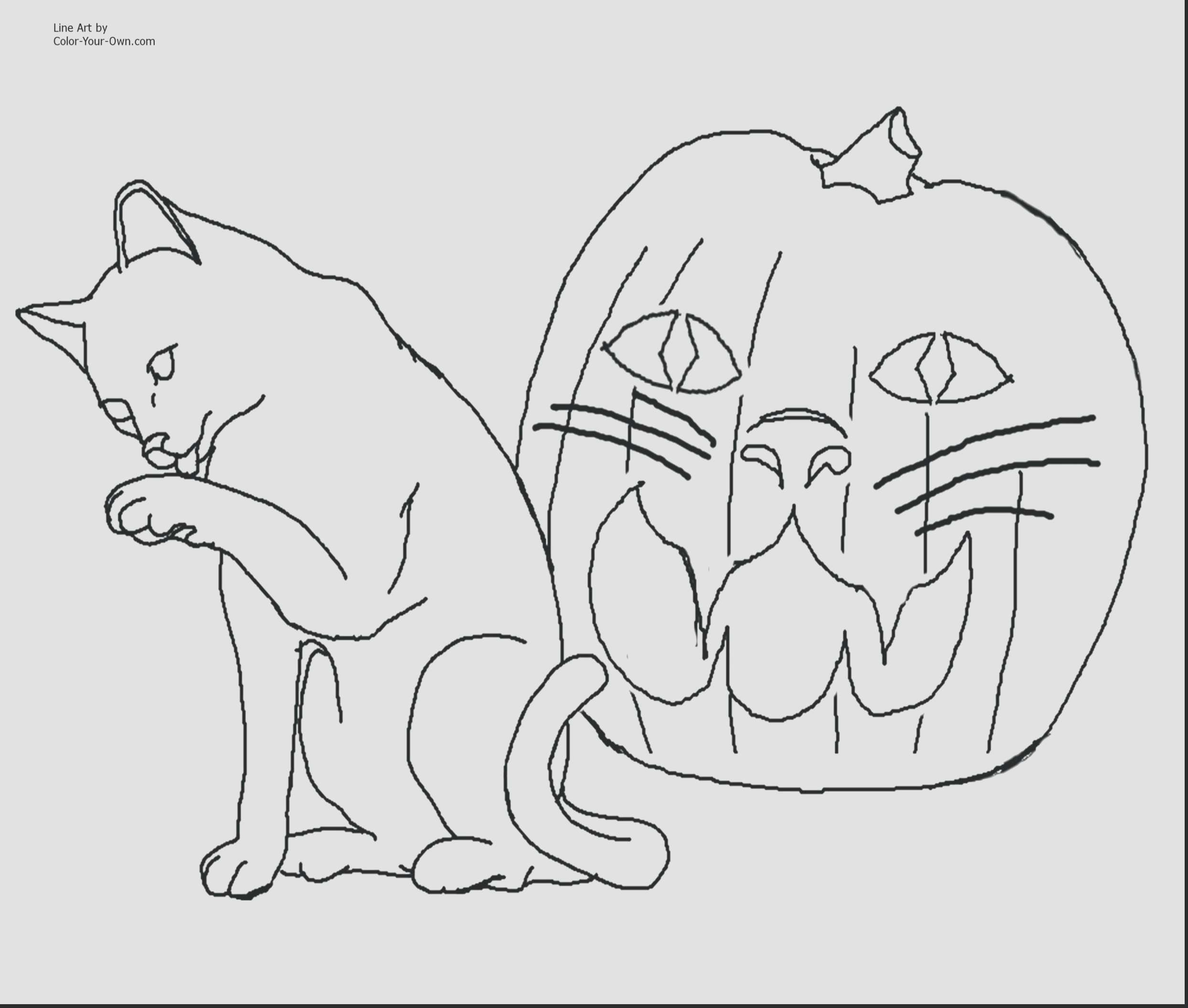 Animals In The Rainforest Coloring Pages Amazon Rainforest Coloring Pages Lovely Extinct Rainforest Animals