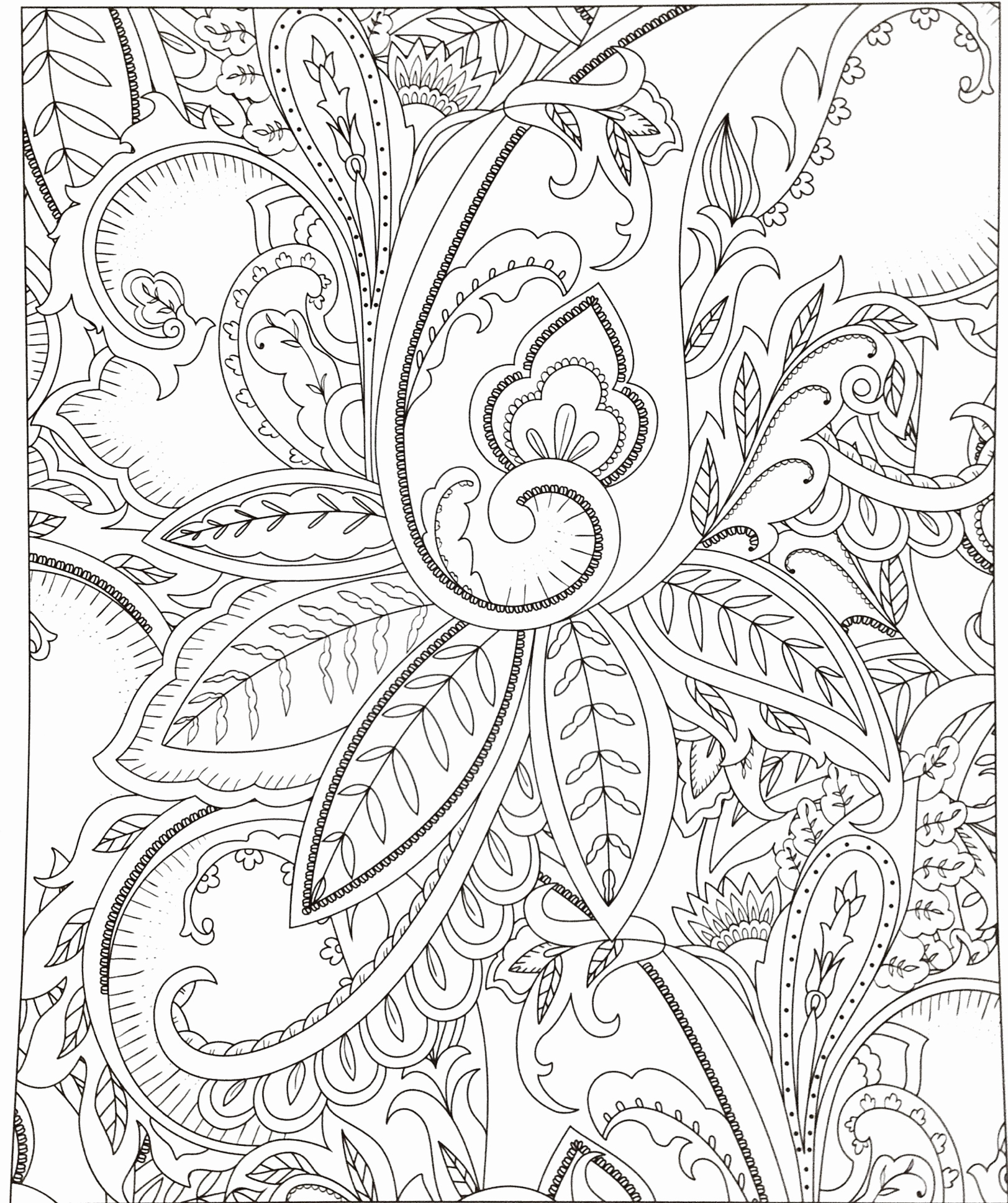 Animals In The Rainforest Coloring Pages Coloring Book Ideas Marvelous Rainforest Coloring Pages To Print