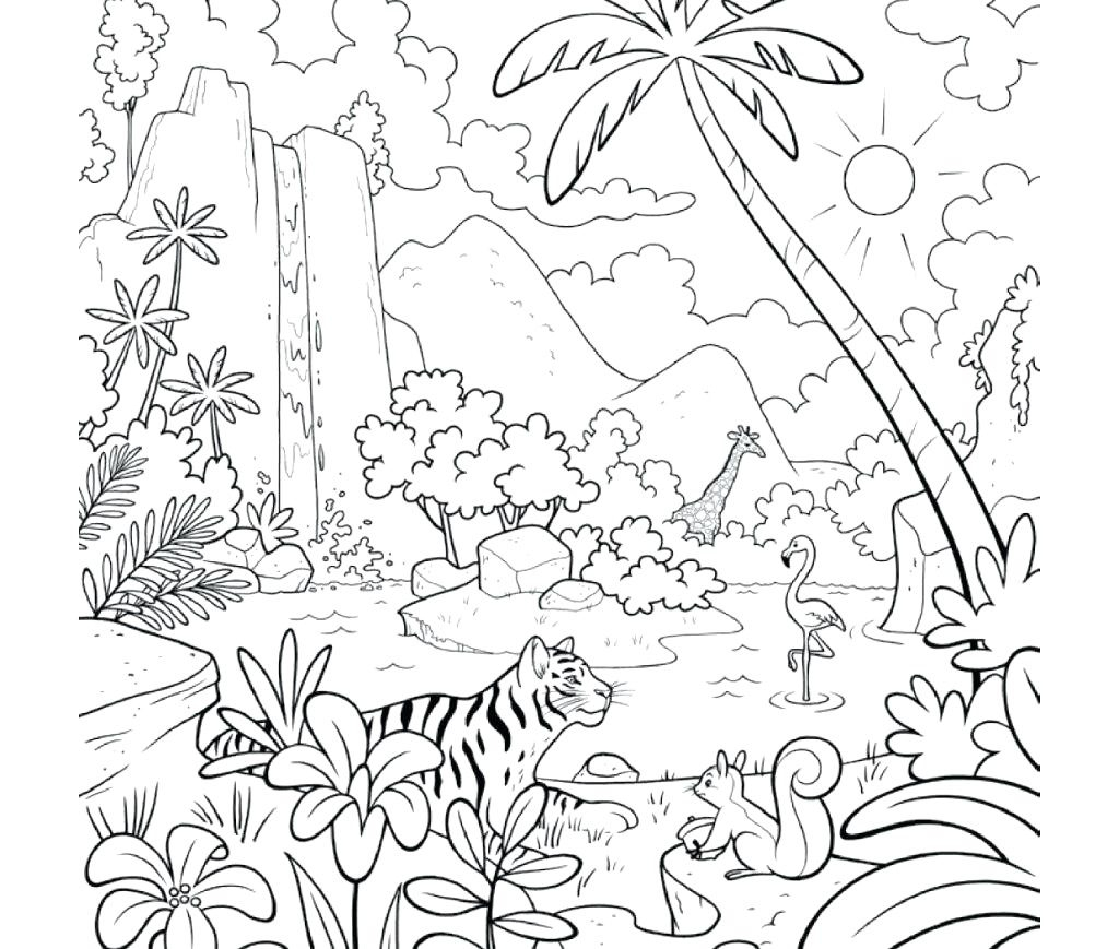 Animals In The Rainforest Coloring Pages Coloring Ideas Coloring Ideas Rainforest Sheets Preschool Canopy