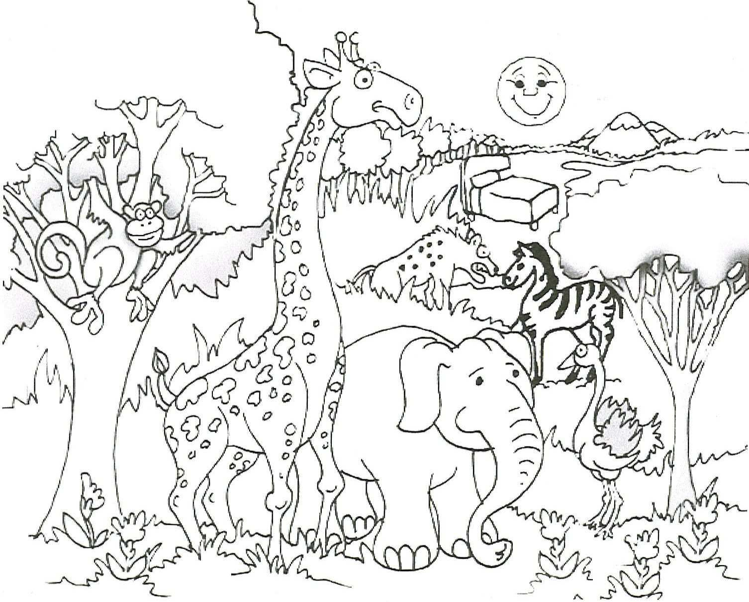 Animals In The Rainforest Coloring Pages Coloring Pages 32 Rainforest Animals Coloring Pages Picture Ideas