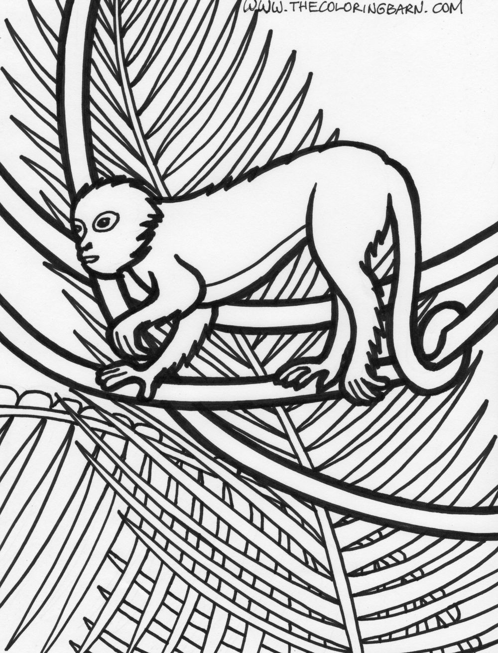 Animals In The Rainforest Coloring Pages Coloring Pages Of A Rainforest Animals Free Printable The Jungle