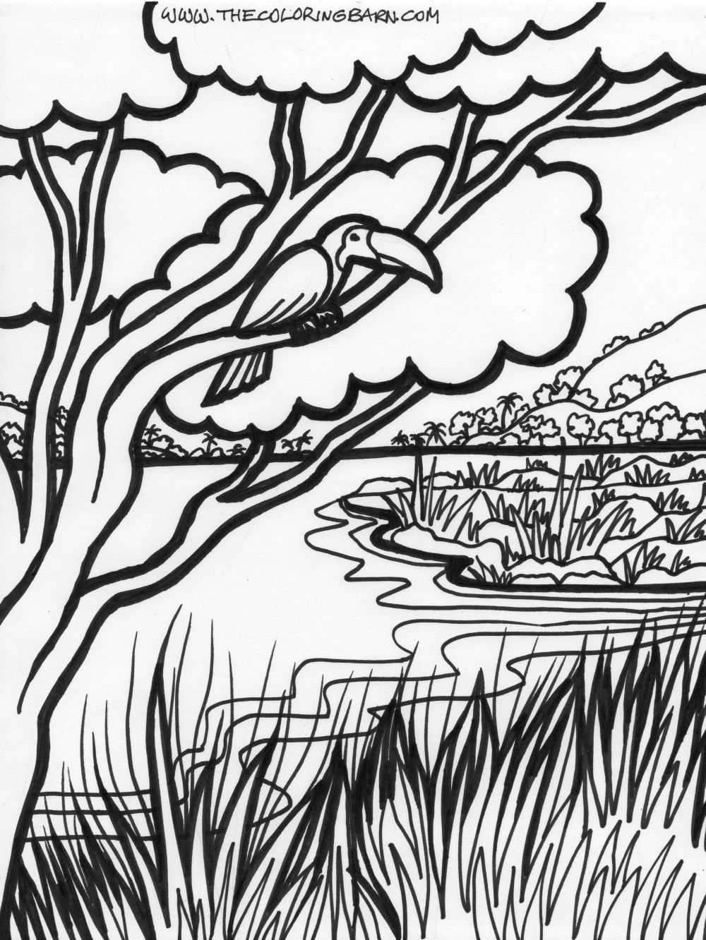 Animals In The Rainforest Coloring Pages Jungle Plants Coloring Pages At Getdrawings Free For Personal