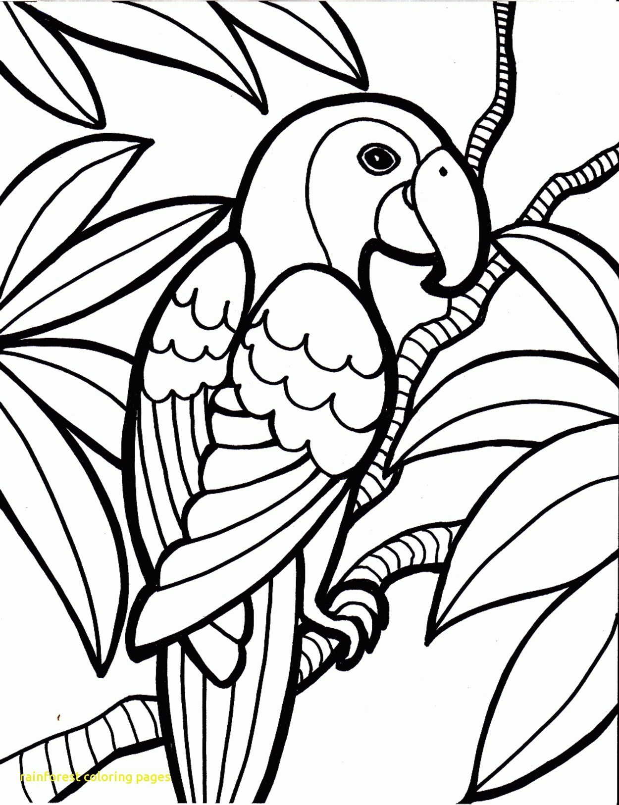 Animals In The Rainforest Coloring Pages New Rainforest Colouring Pages To Print Theyesyesyalls