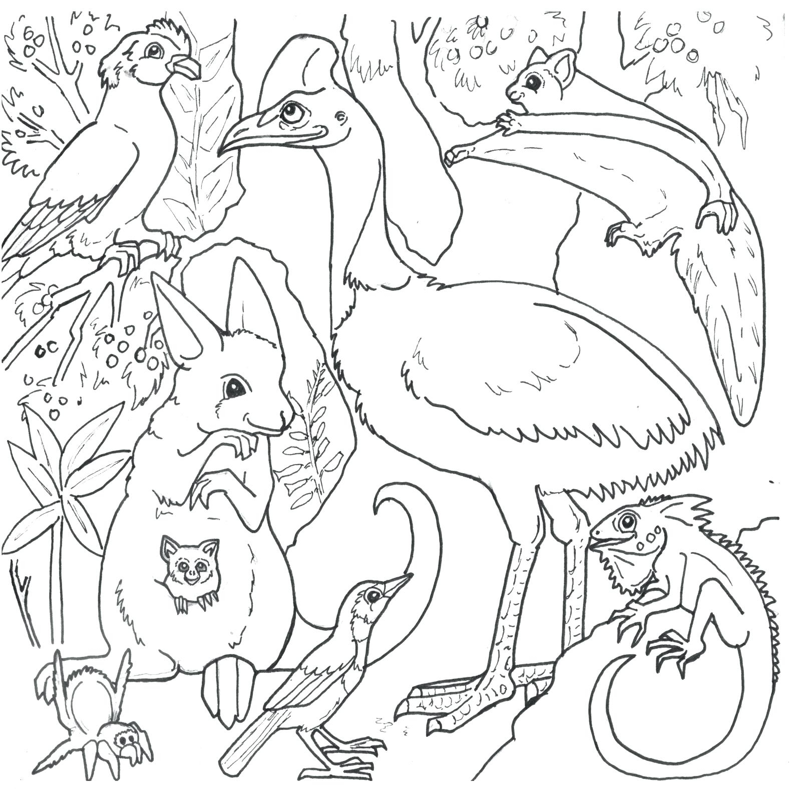 Animals In The Rainforest Coloring Pages Rainforest Animals Colouring Pages Coloring Page 6 Amazon Rainforest
