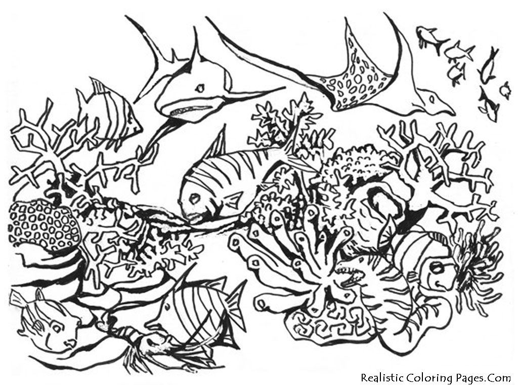 Aquarium Coloring Pages Aquarium Plants Coloring Pages Printable Coloring Pages For All