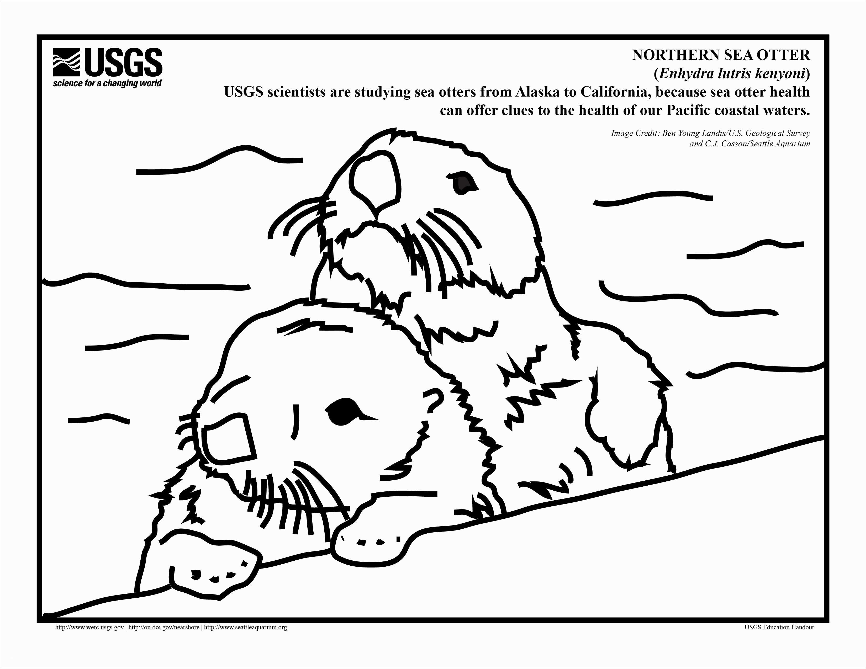 Aquarium Coloring Pages Coloring Otter Coloring Pages Aquarium Inspirational New Owl To