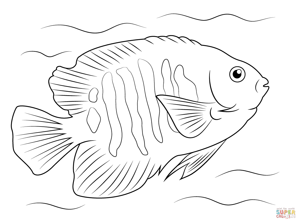 Aquarium Coloring Pages Coloring Page Tropical Fish Coloring Pages Google Search Teaching