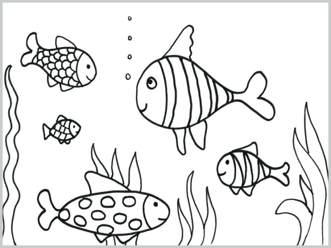 Aquarium Coloring Pages Free Coloring Pages Fish Tank Dracosheetco