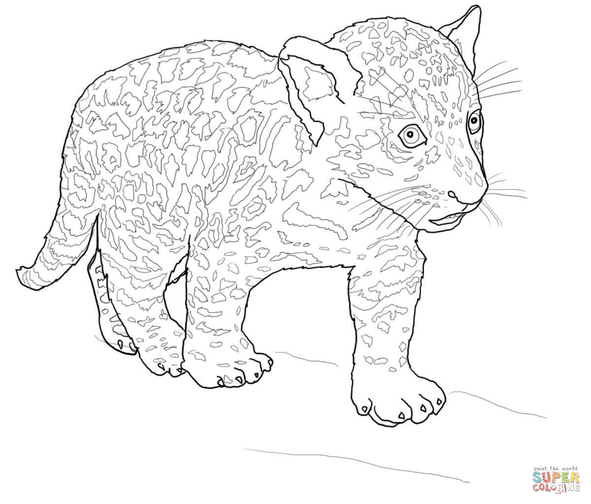 Baby Jaguar Coloring Pages Ba Jaguar Coloring Page Free Printable Coloring Pages