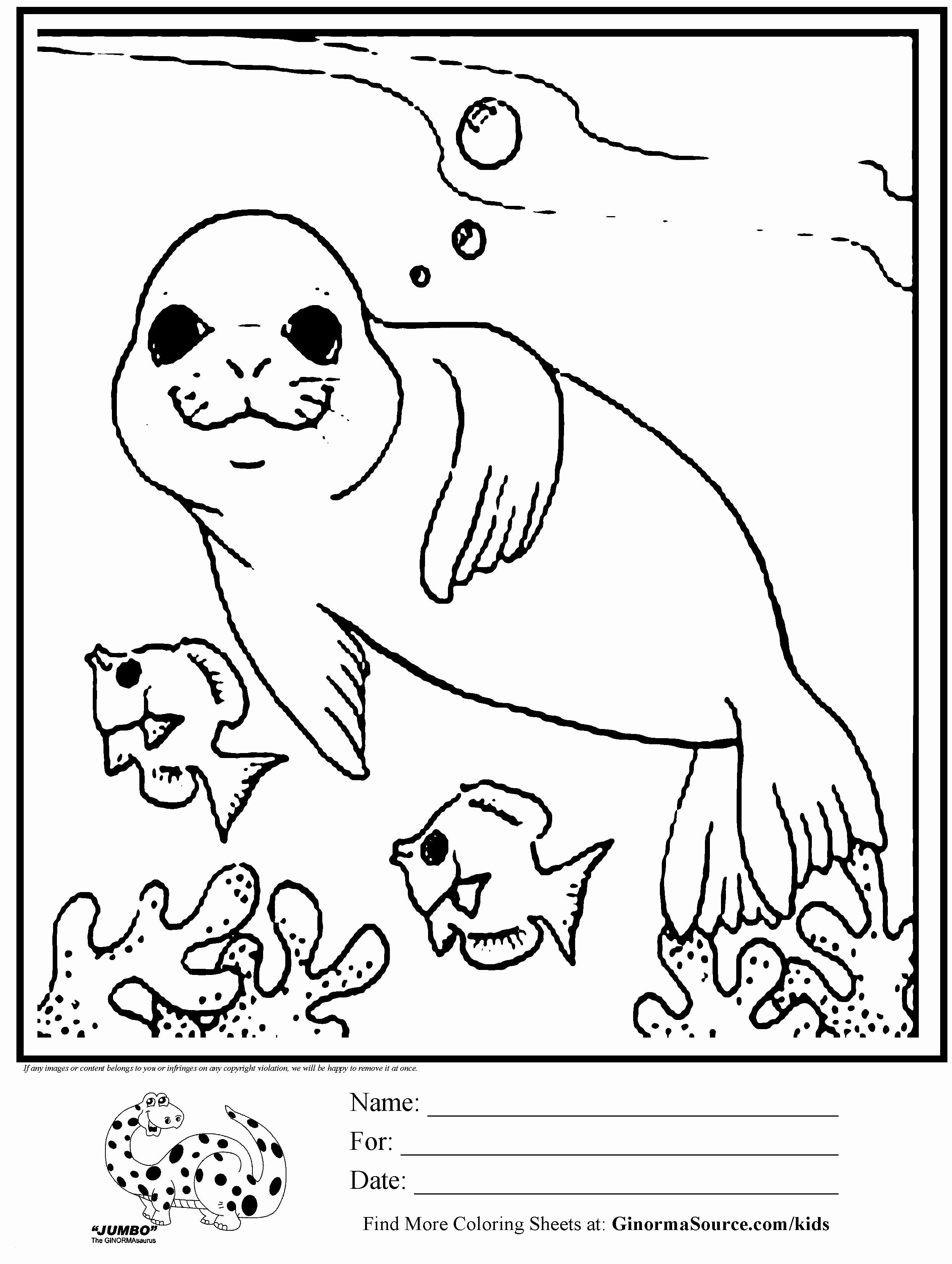Banana Split Coloring Page Animal Coloring Pages Luxury Cool Coloring Page Unique Witch