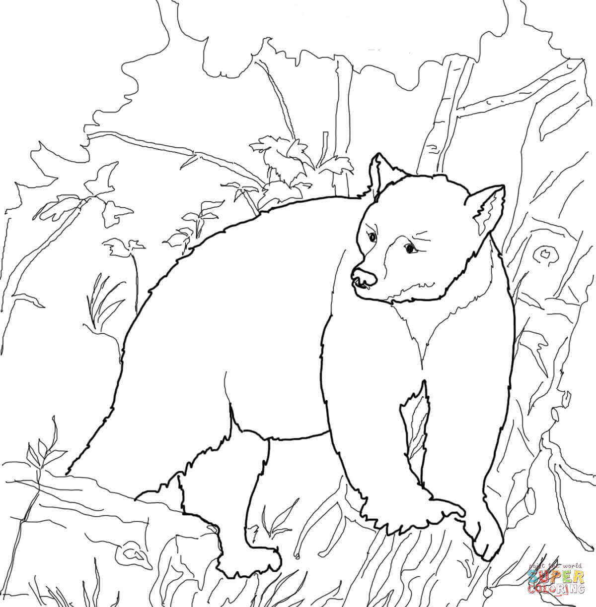 Bears Coloring Pages American Black Bears Coloring Pages Free Coloring Pages