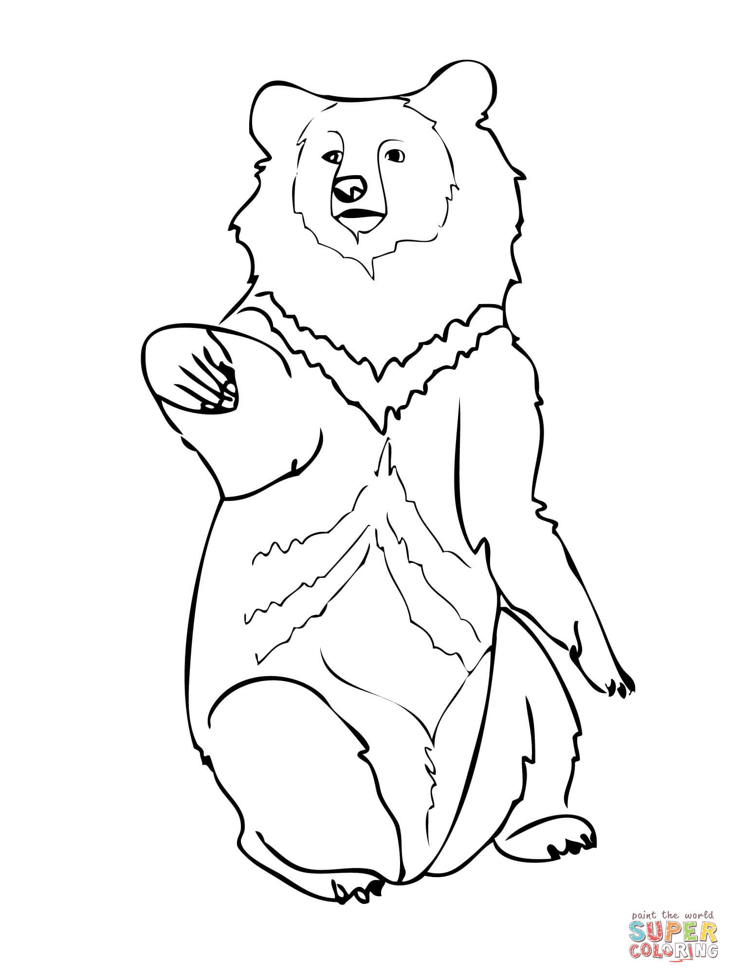 Bears Coloring Pages Asia Black Bears Coloring Pages Photo Album Sabadaphnecottage