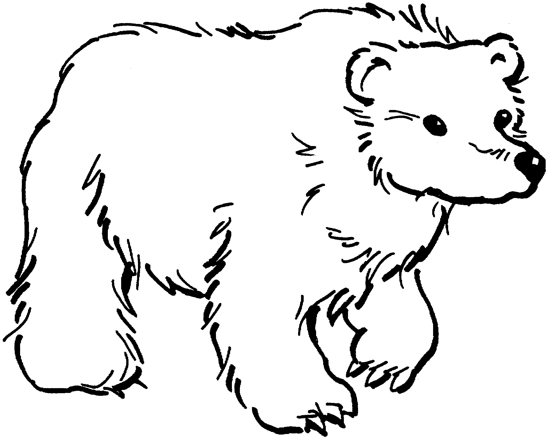 Bears Coloring Pages Free Bear Coloring Pages