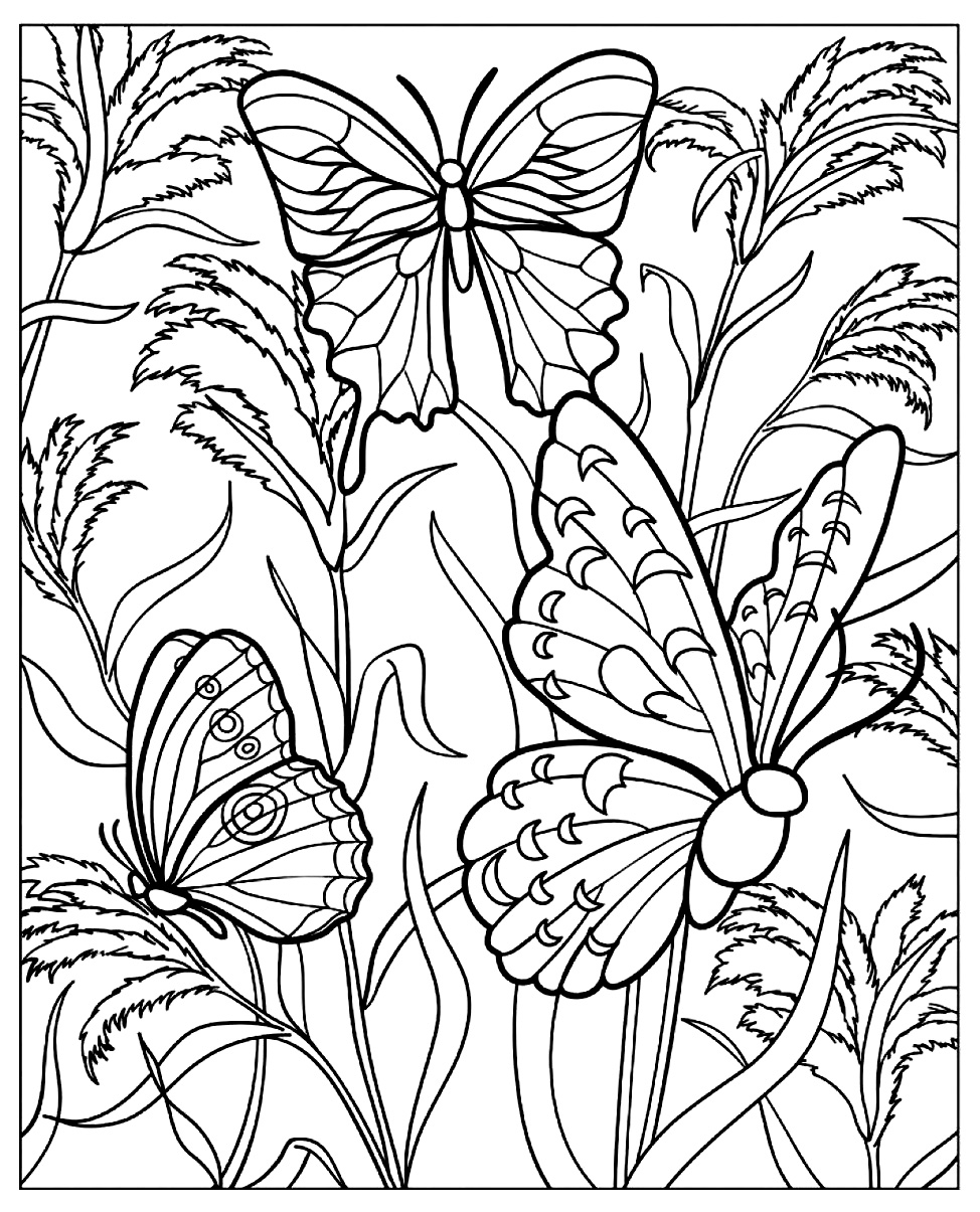 Beautiful Nature Coloring Pages Butterflies In A Green Nature Butterflies Insects Adult Coloring