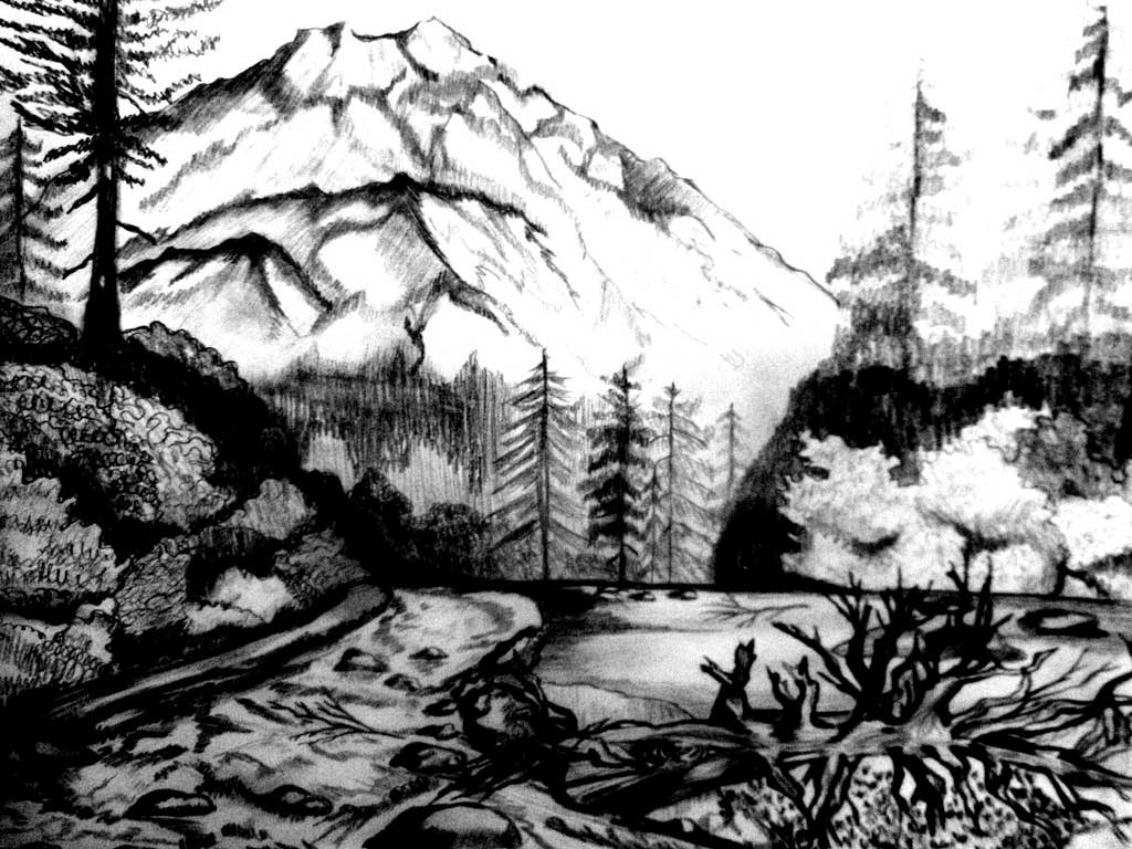 Beautiful Nature Coloring Pages Collection Nature Scene Coloring Pages Pictures Sabadaphnecottage