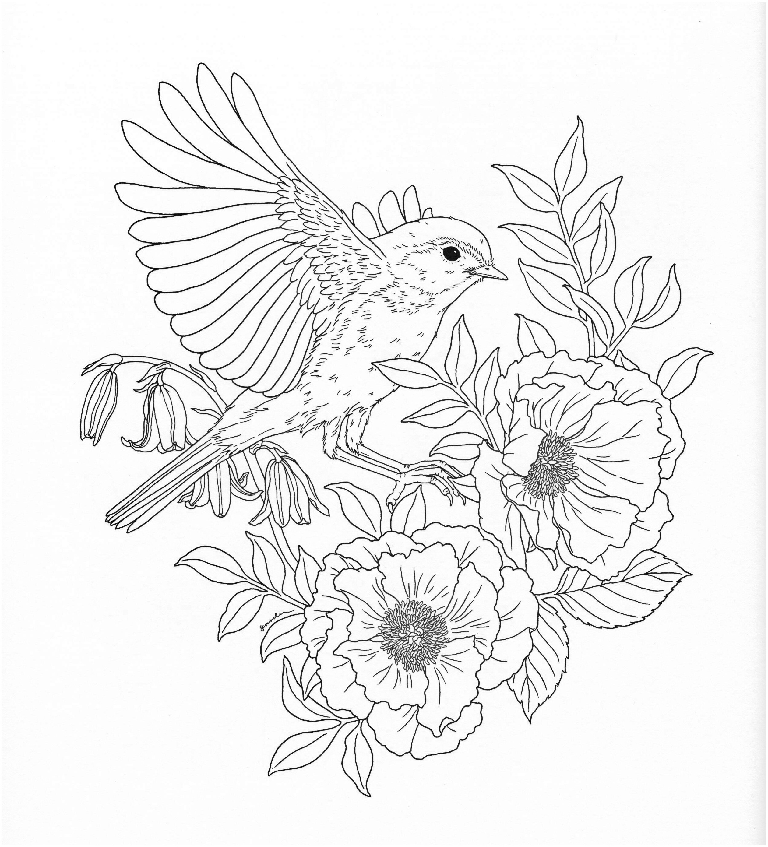 Beautiful Nature Coloring Pages Coloring Rose Coloring Pages Book Bestofcoloring Com Real To Print