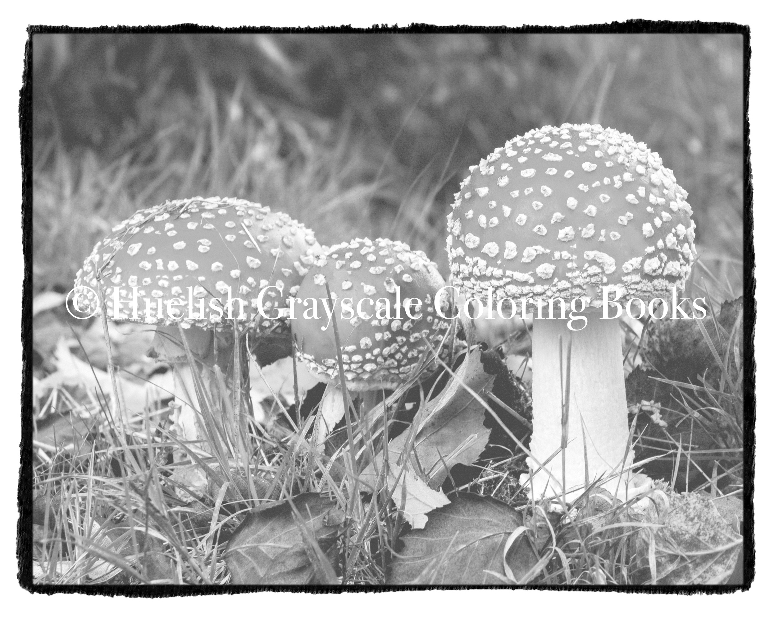Beautiful Nature Coloring Pages Downloadable Grayscale Coloring Page Fly Agaric Mushrooms