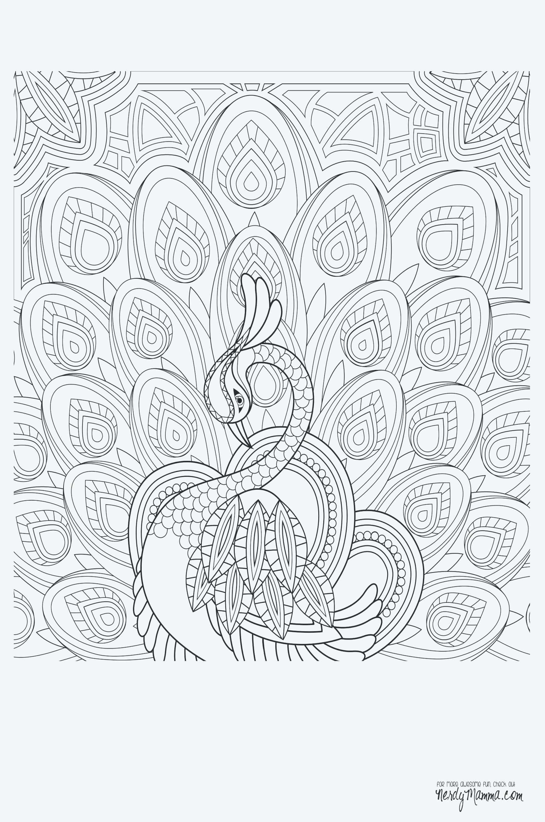 Beautiful Nature Coloring Pages Nature Coloring Page Regionpaperco