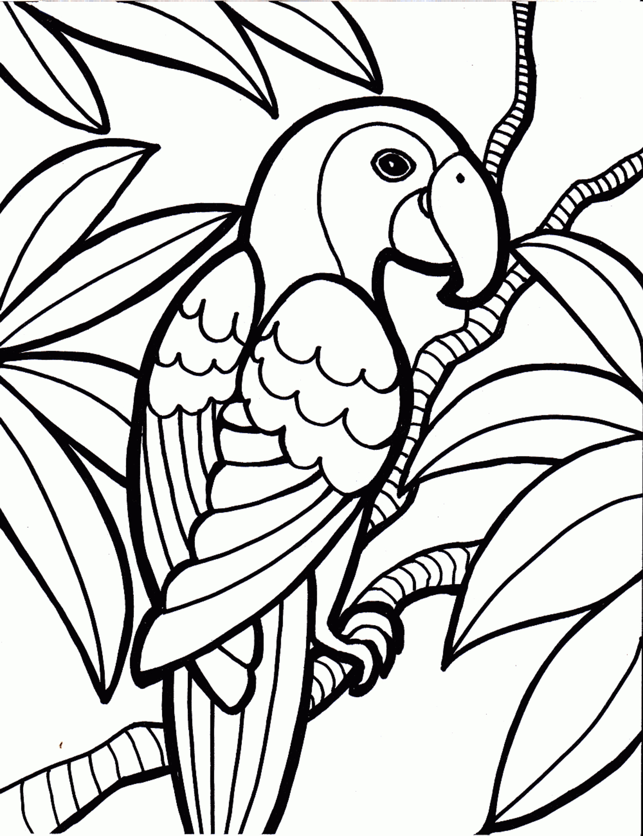 Bird Color Pages Coloring Bird Color Pages Cute Printable Coloring White Breasted