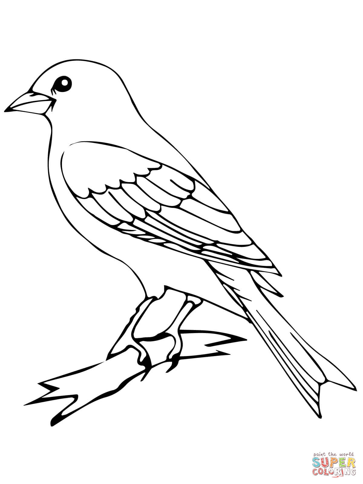 Bird Color Pages Perched Canary Bird Coloring Page Free Printable Coloring Pages