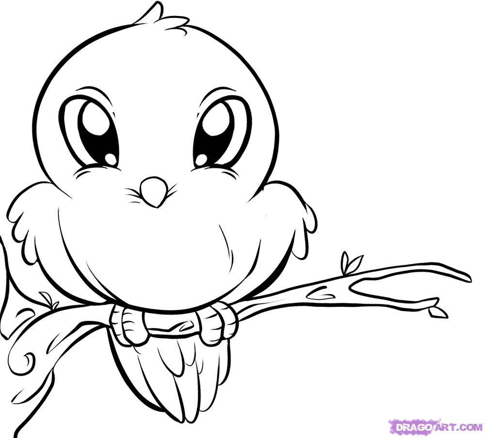 Bird Color Pages Small Bird Coloring Pages At Getdrawings Free For Personal Use