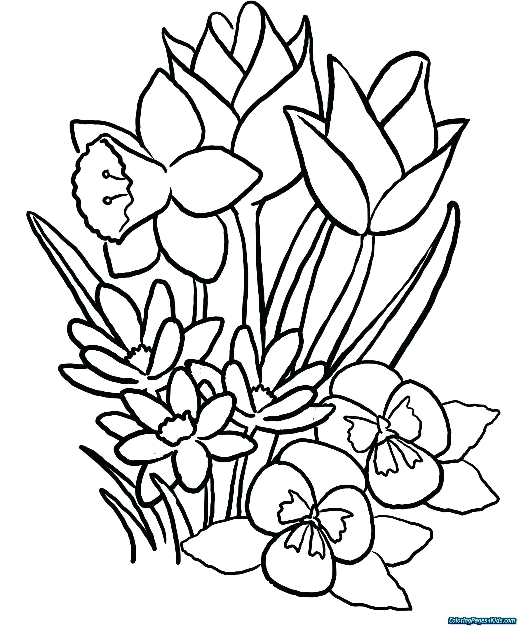 Bouquet Of Flowers Coloring Page Flower Bouquet Coloring Page Chamberprintco