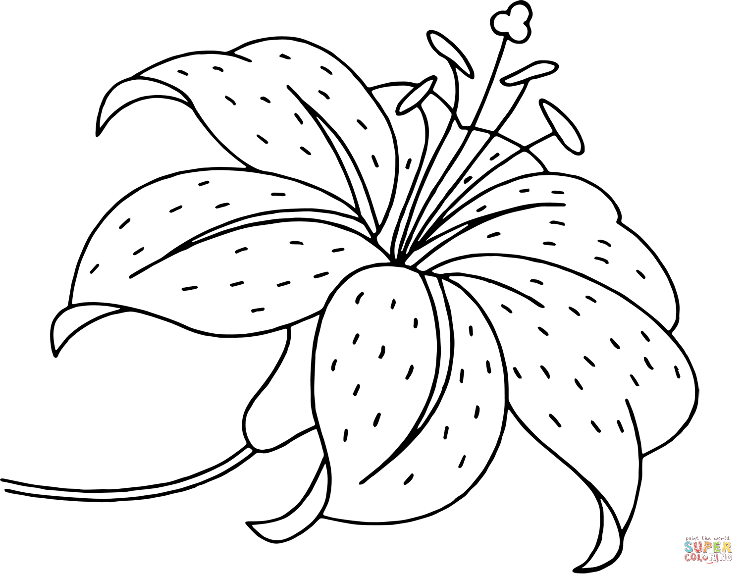 Bouquet Of Flowers Coloring Page Imagination Flower Coloring Images Lily Page Free Printable Pages