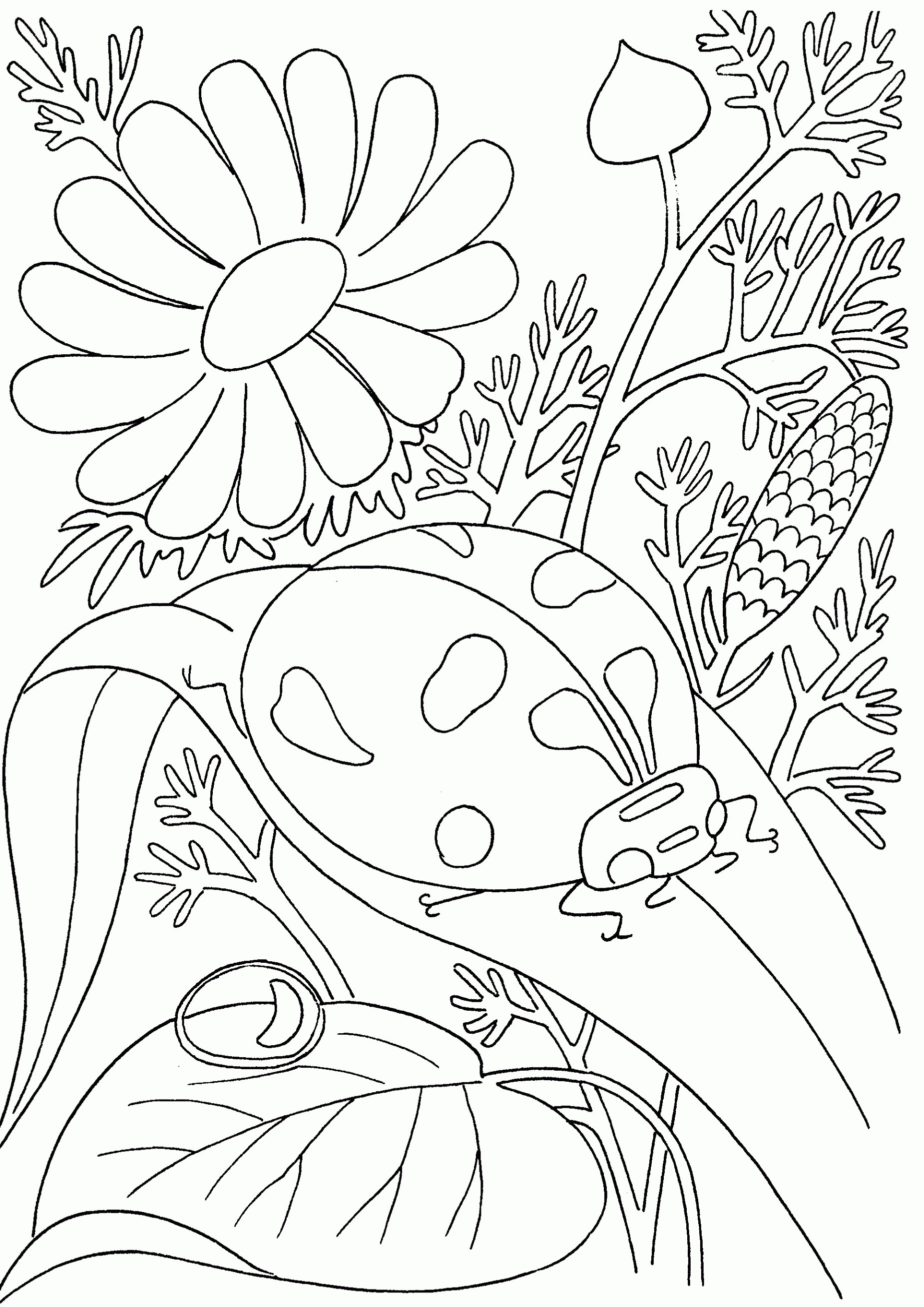 Bug Coloring Pages For Kids Bug Coloring Pages Topsailmultimedia