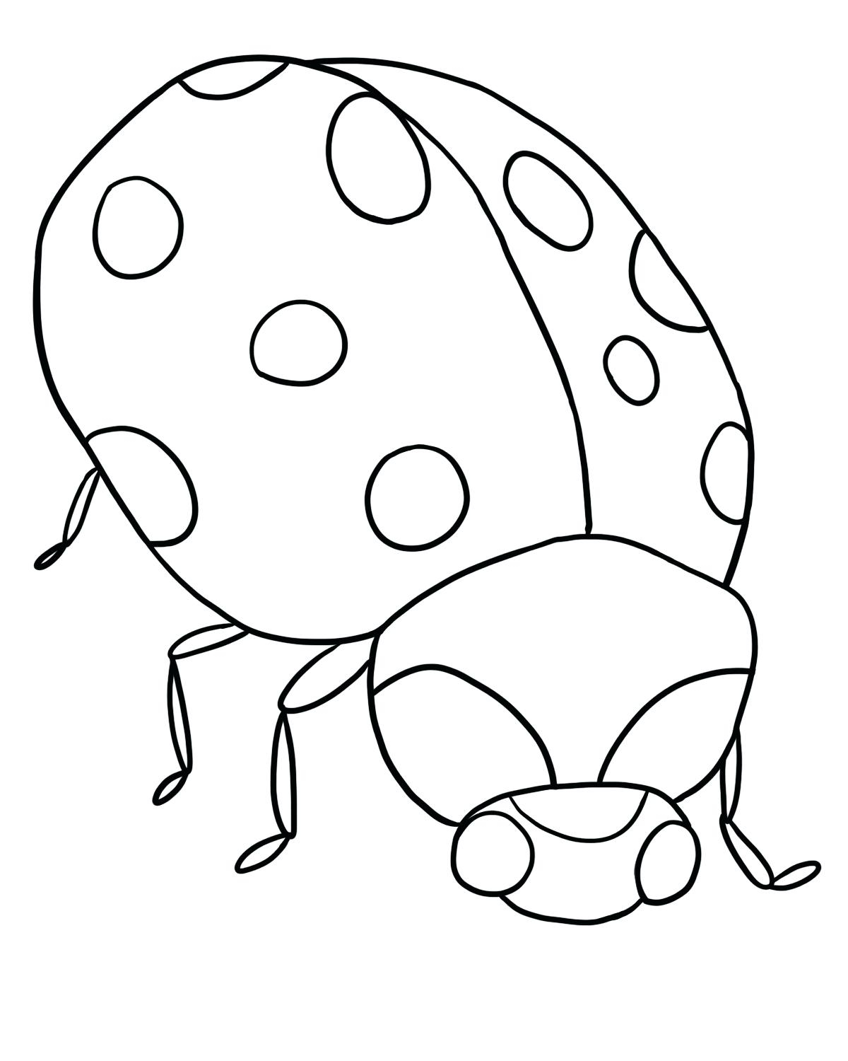 Bug Coloring Pages For Kids Bug Coloring Pictures Safewaysheetco