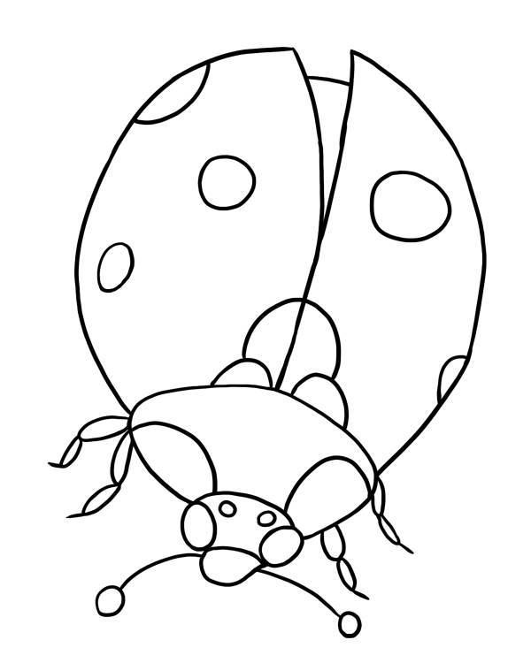Bug Coloring Pages For Kids Free Ladybug Coloring Pages To Print Out And Color