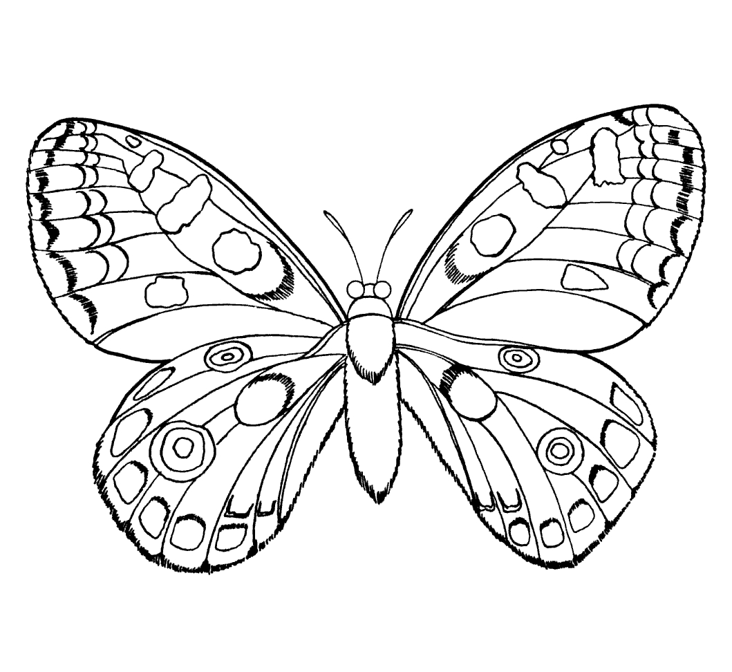 Bug Coloring Pages For Kids Free Printable Pictures Of Insects Download Free Clip Art Free