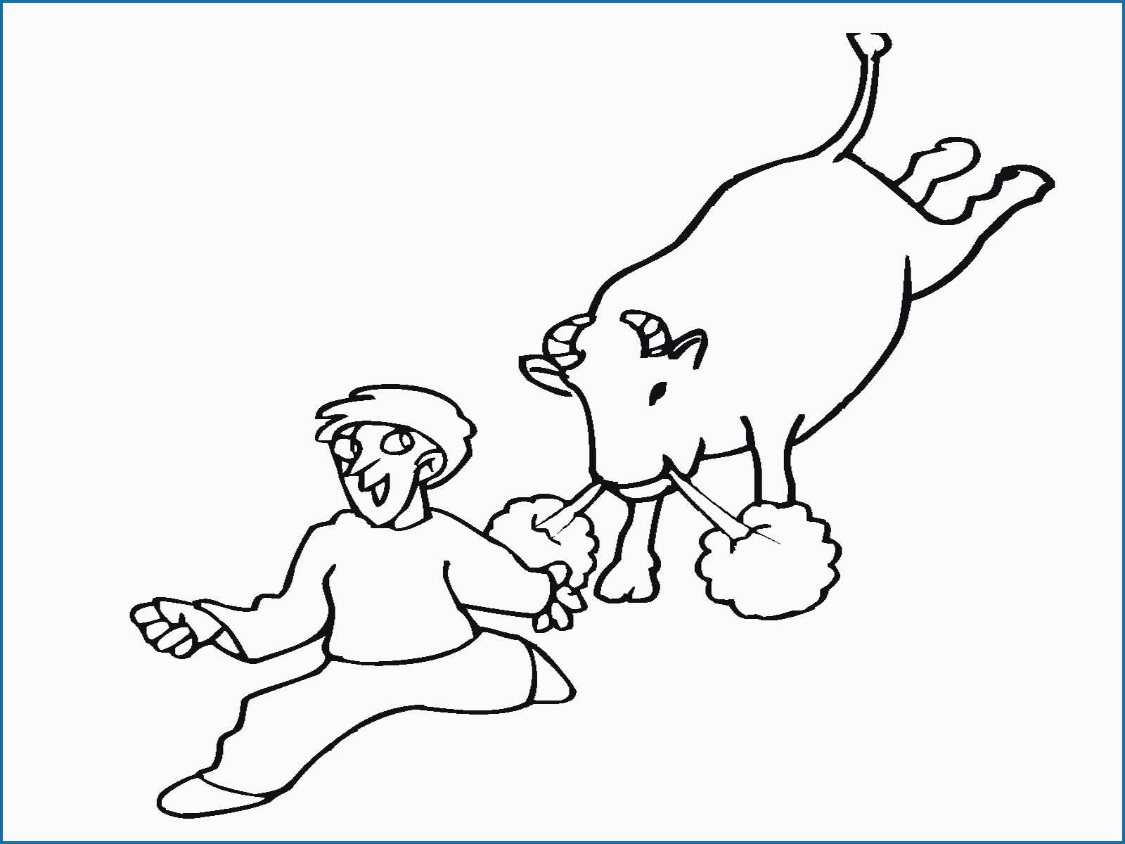 Bull Riding Coloring Pages Coloring Pages Bull Coloring Pages Bull Shark Coloring Pictures