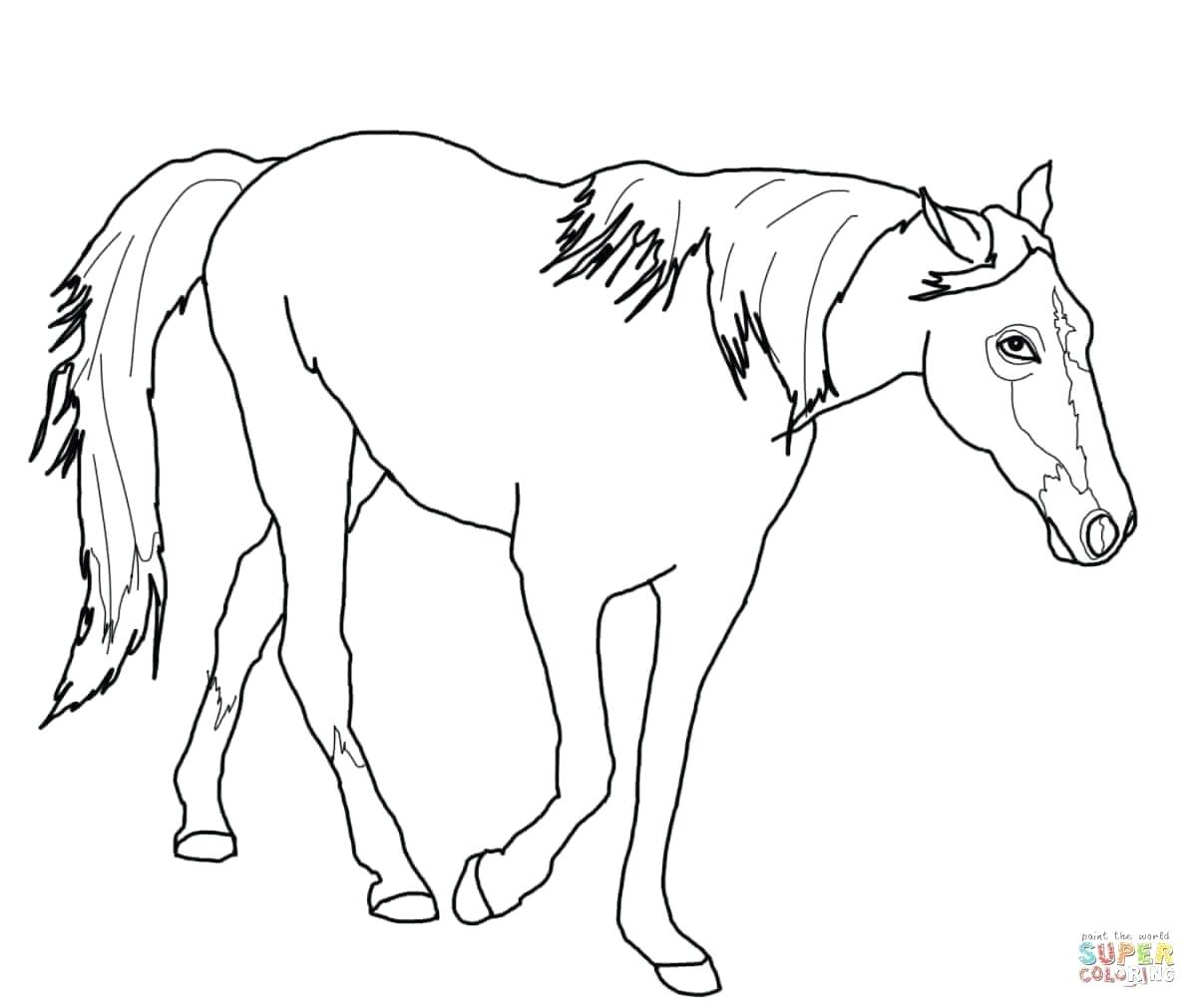 Bull Riding Coloring Pages Rodeo Bull Coloring Pages Reddogsheetco