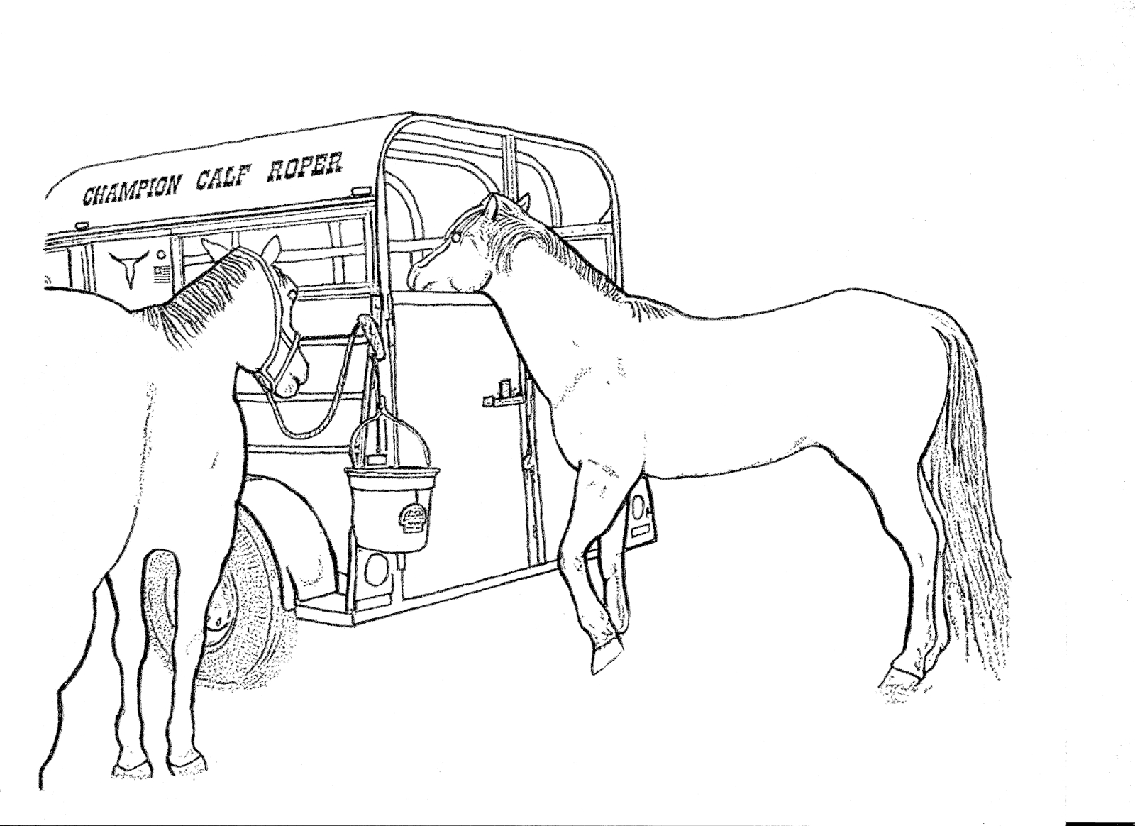 Bull Riding Coloring Pages Rodeo Coloring Pages