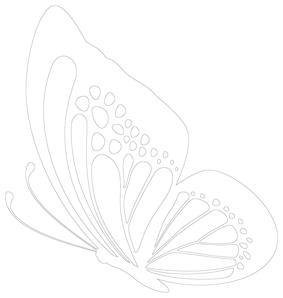 Butterfly Outline Coloring Page Butterfly Coloring Page Side View Of Butterfly Outline