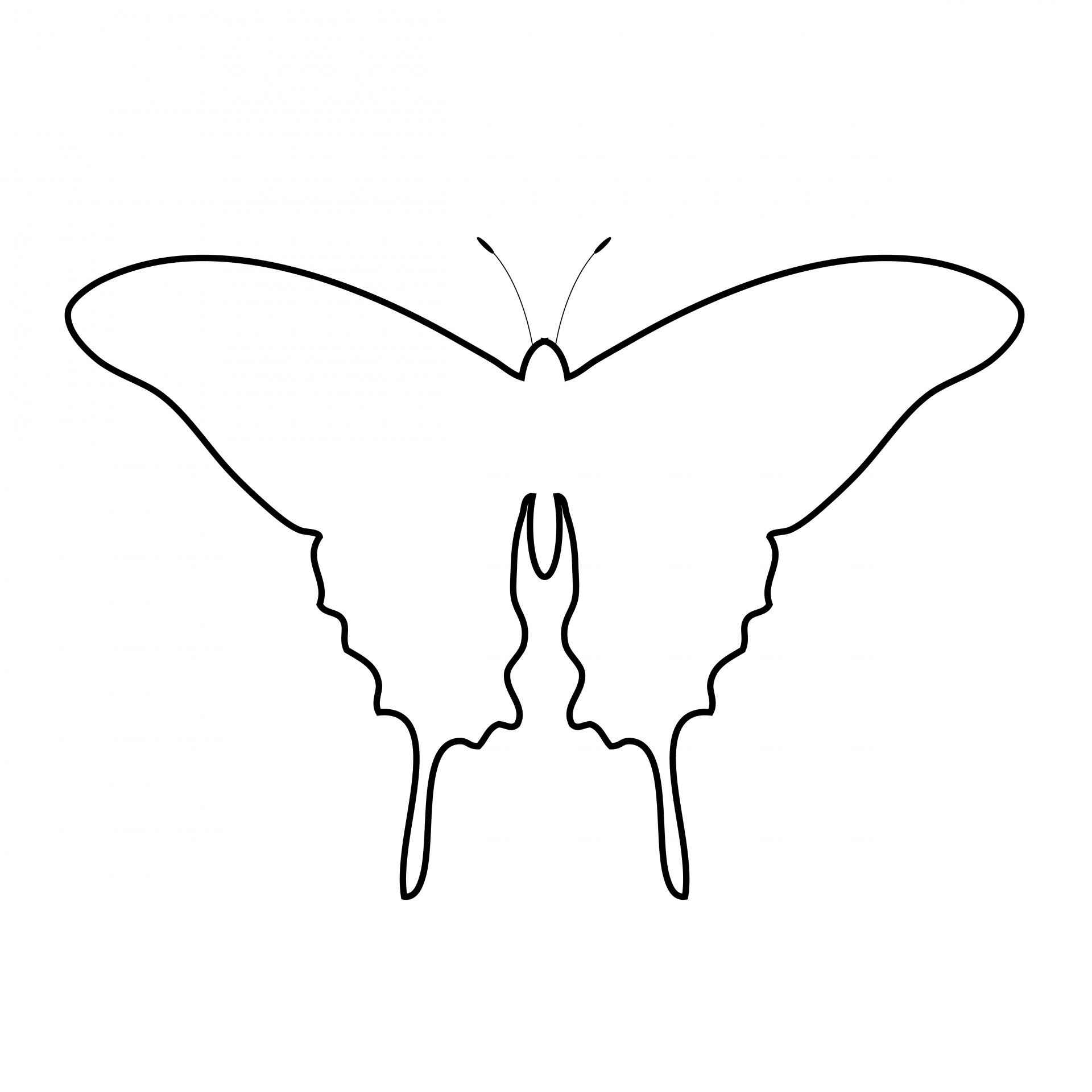 Butterfly Outline Coloring Page Butterfly Outline Gclipart