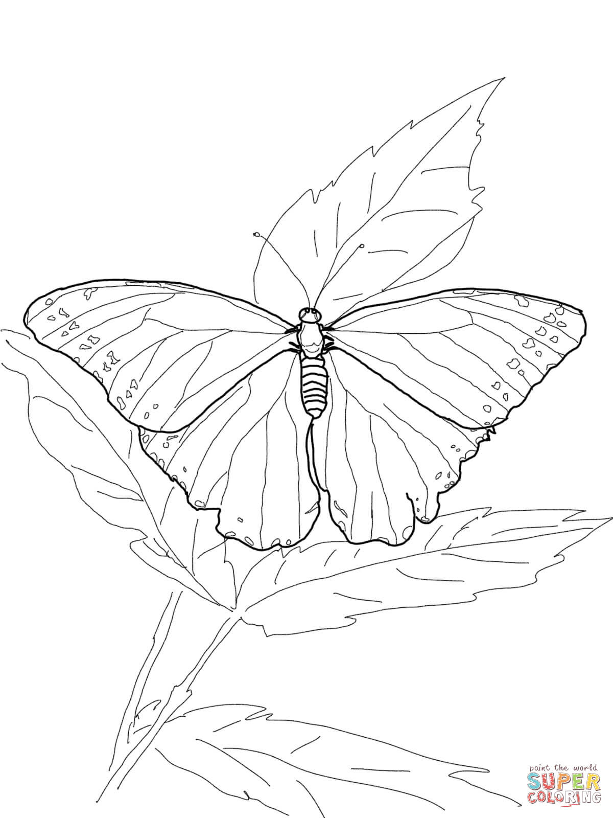 Butterfly Outline Coloring Page Coloring Books Butterflies Outline Collection Of Butterfly Clipart