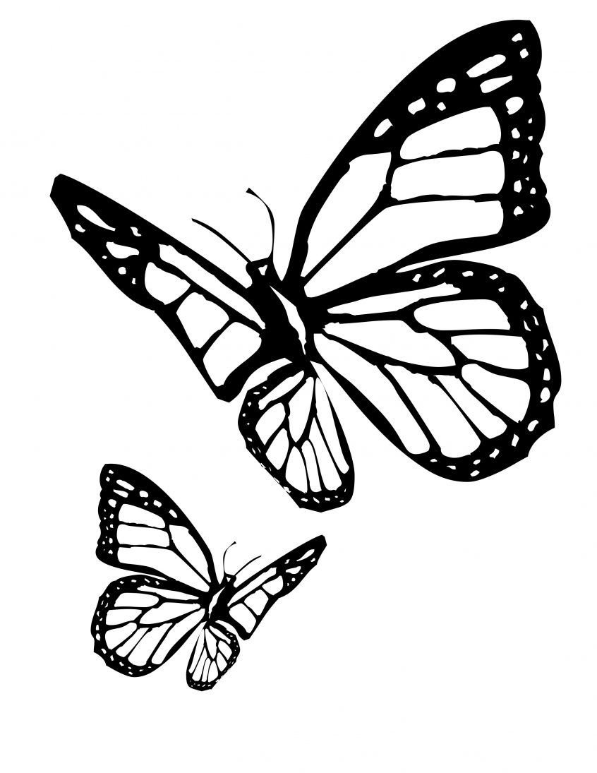 Butterfly Outline Coloring Page Coloring Butterfly Coloring Page Pictures To Color Pages Php