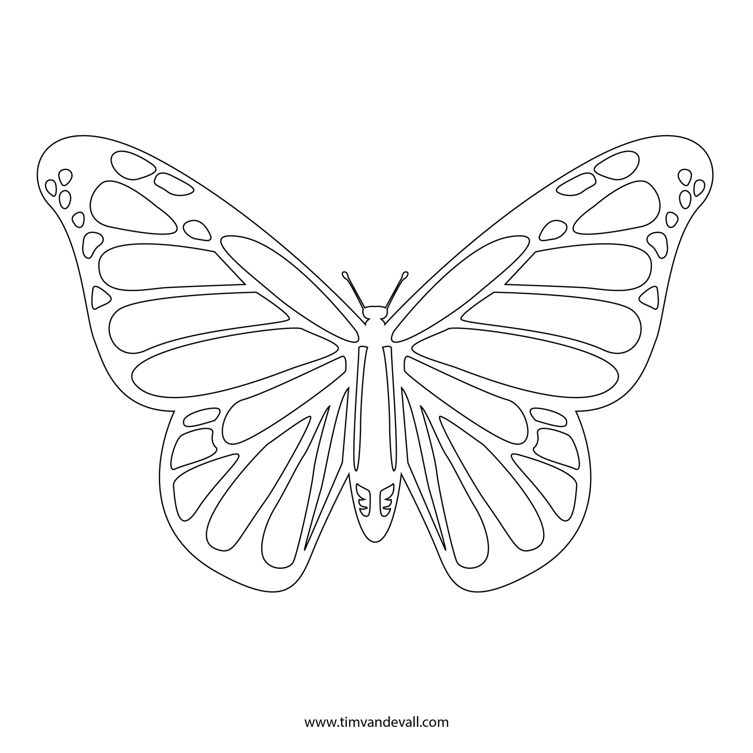 Butterfly Outline Coloring Page Free Monarch Butterfly Template Download Free Clip Art Free Clip