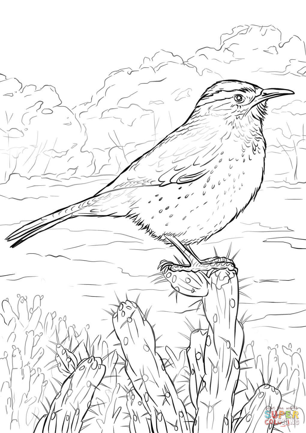 Carolina Wren Coloring Page Cactus Wren Coloring Page Free Printable Coloring Pages