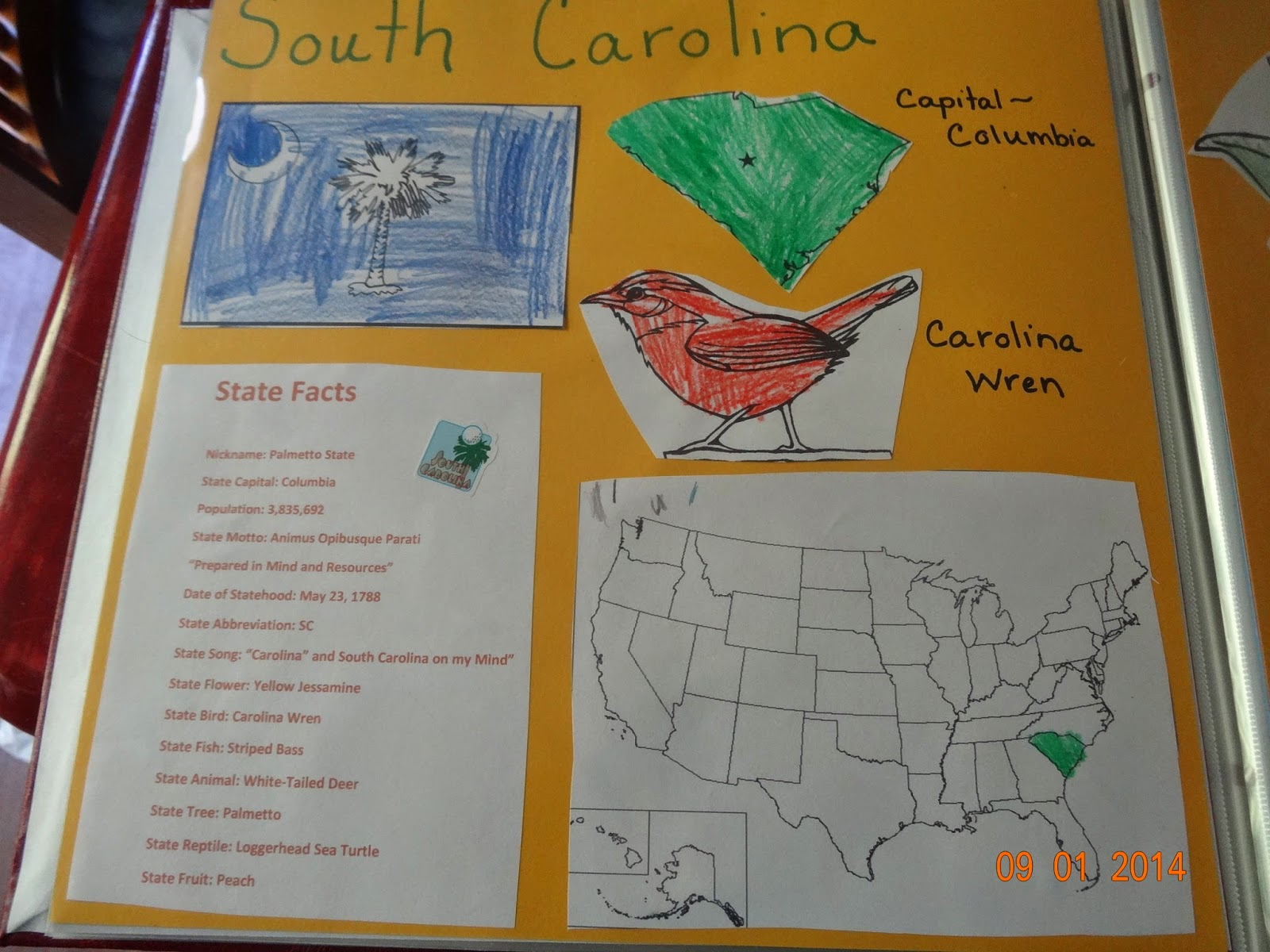 Carolina Wren Coloring Page Mountain Of Grace Homeschooling Our State Study Scrapbook South