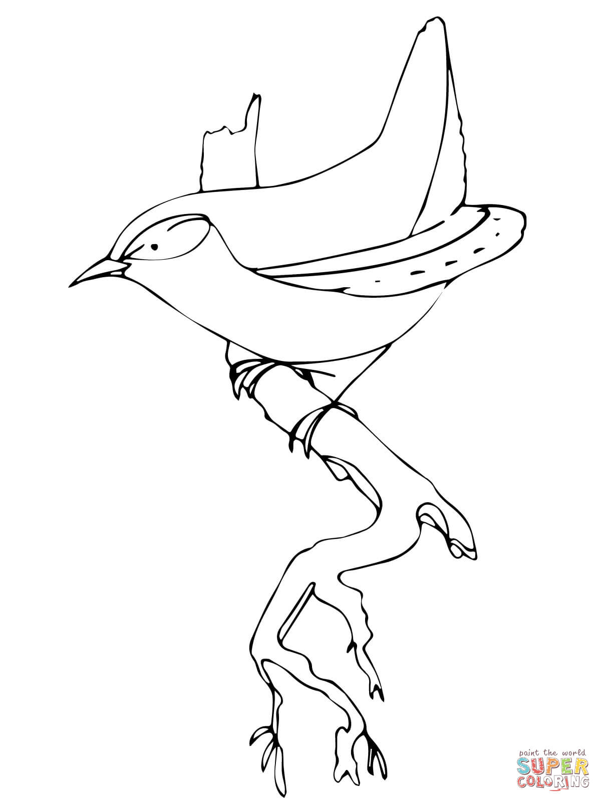Carolina Wren Coloring Page Wren Bird Coloring Page Free Printable Coloring Pages