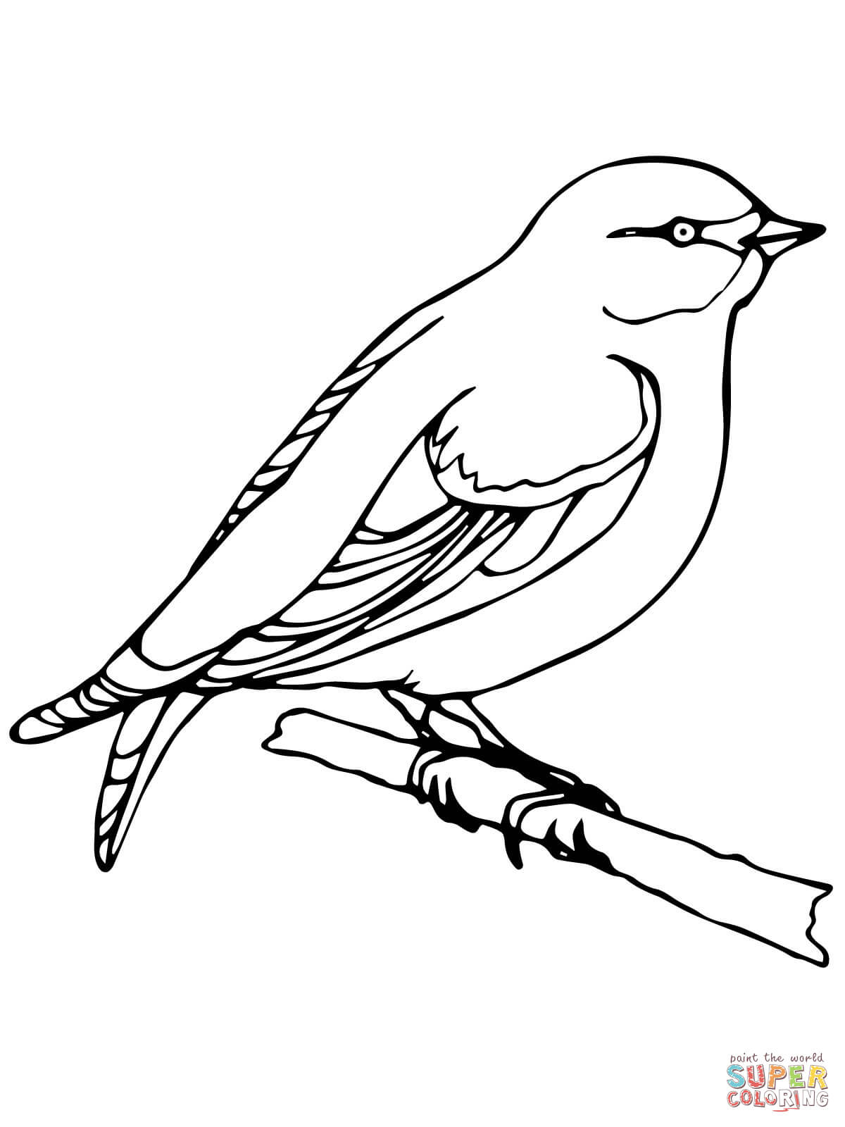 Carolina Wren Coloring Page Wren Coloring Page Free Printable Coloring Pages