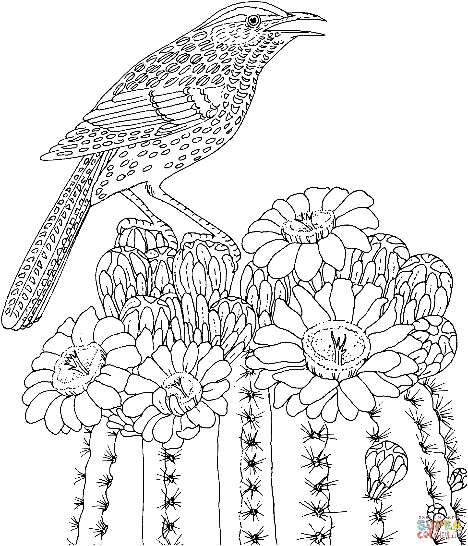 Carolina Wren Coloring Page Wren Coloring Pages Free Coloring Pages