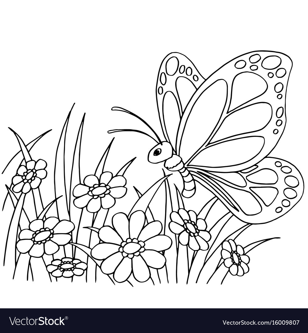 Cartoon Butterflies Coloring Pages Butterfly And Flower Cartoon Coloring Page